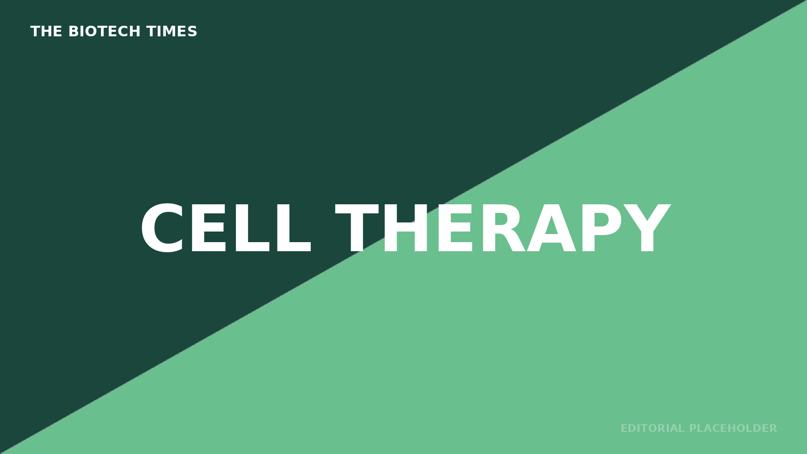 Hero placeholder — Cell Therapy
